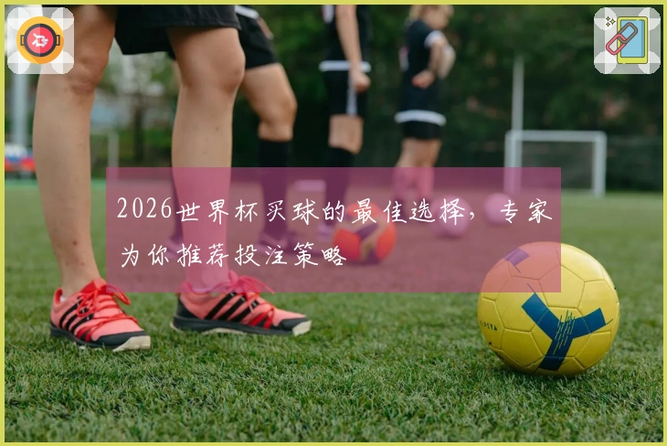 2026世界杯买球的最佳选择，专家为你推荐投注策略