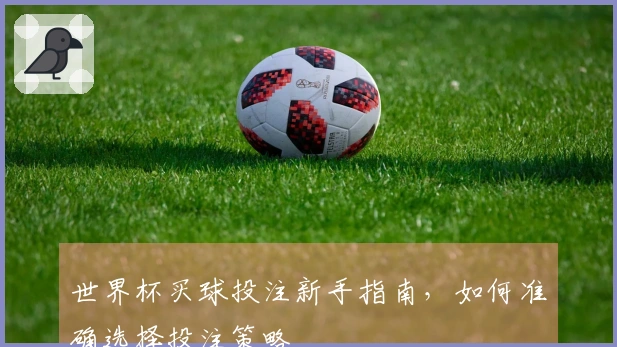 世界杯买球投注新手指南，如何准确选择投注策略