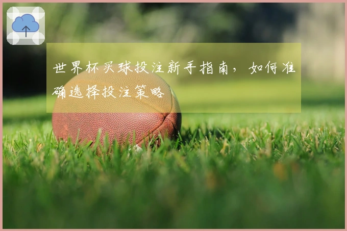 世界杯买球投注新手指南，如何准确选择投注策略