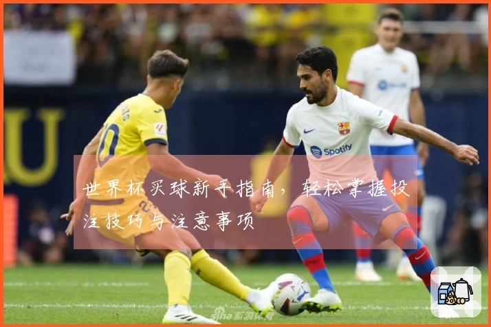 世界杯买球新手指南，轻松掌握投注技巧与注意事项