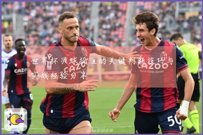 世界杯买球投注的关键判断技巧与实战经验分享