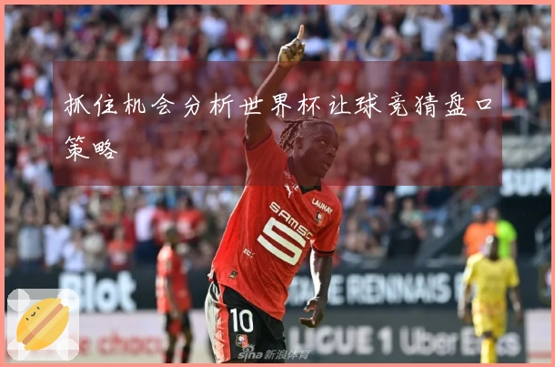 抓住机会分析世界杯让球竞猜盘口策略