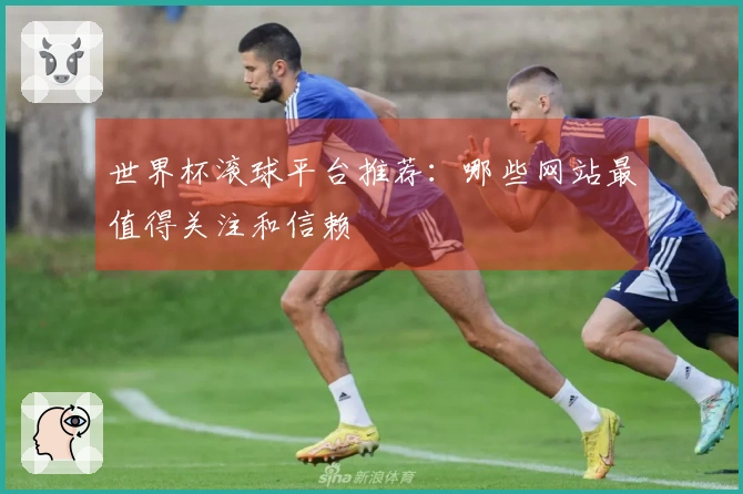 世界杯滚球平台推荐：哪些网站最值得关注和信赖